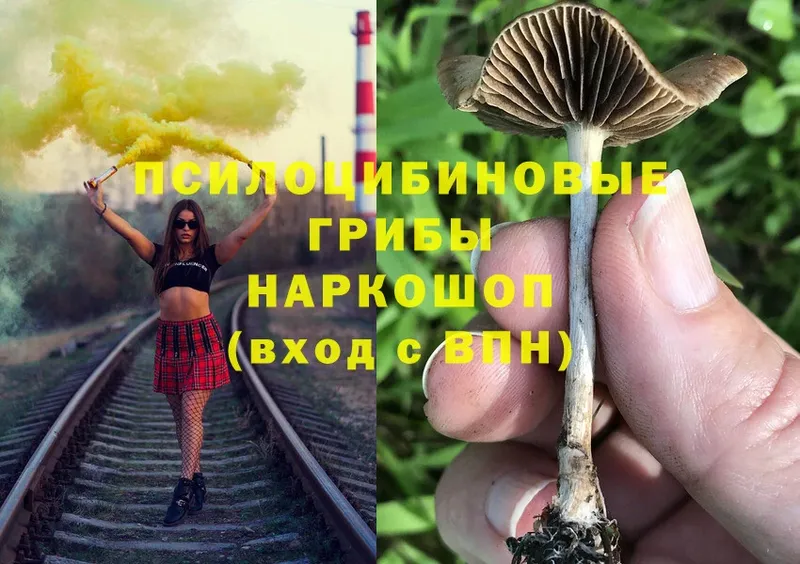 Псилоцибиновые грибы MAGIC MUSHROOMS  Гаврилов-Ям 